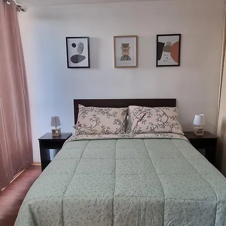 Departamento Vicuna 3